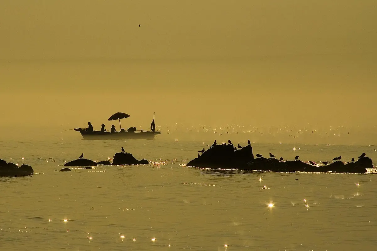 Coastal Fog and Sea Breezes: A Local Weather Guide for UK Seaside Towns